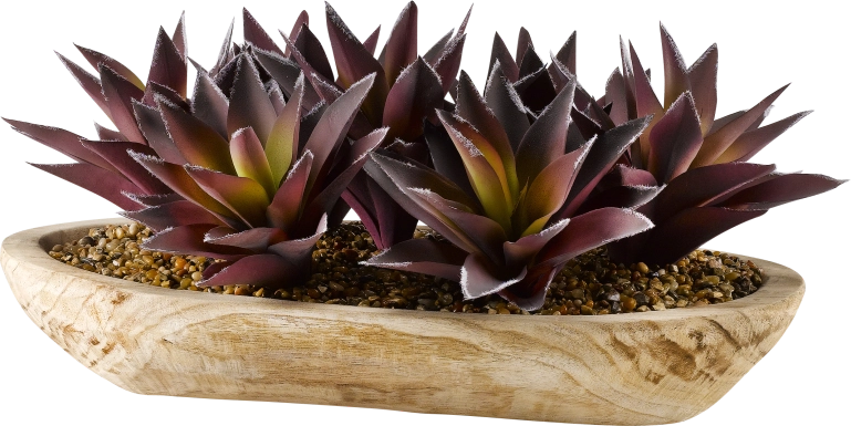 Domenica Purple Aloe Silk Plant