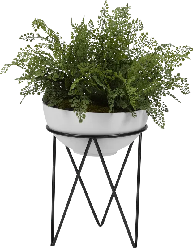 Lyan Green Fern Silk Plant