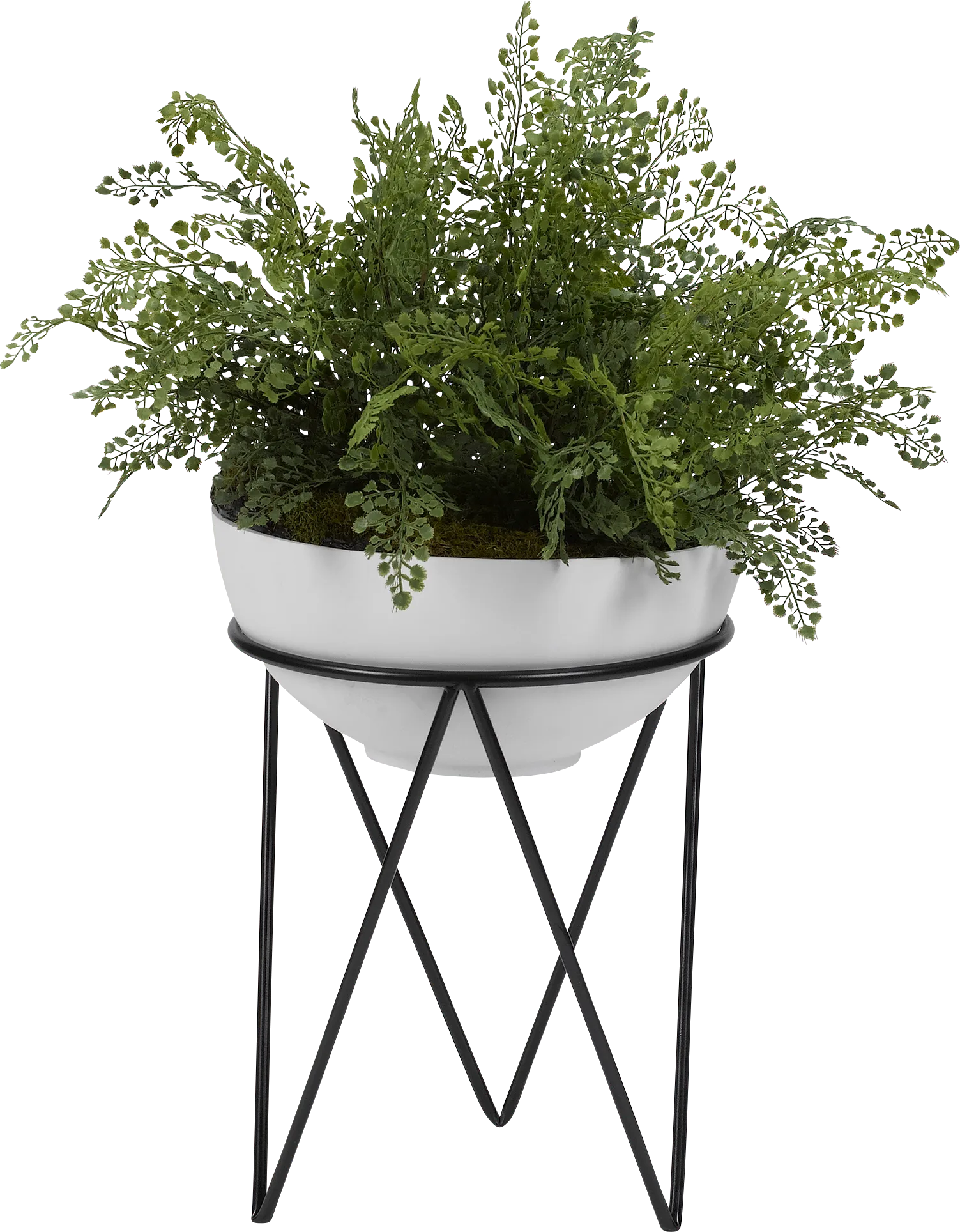 Lyan Green Fern Silk Plant - Image 1