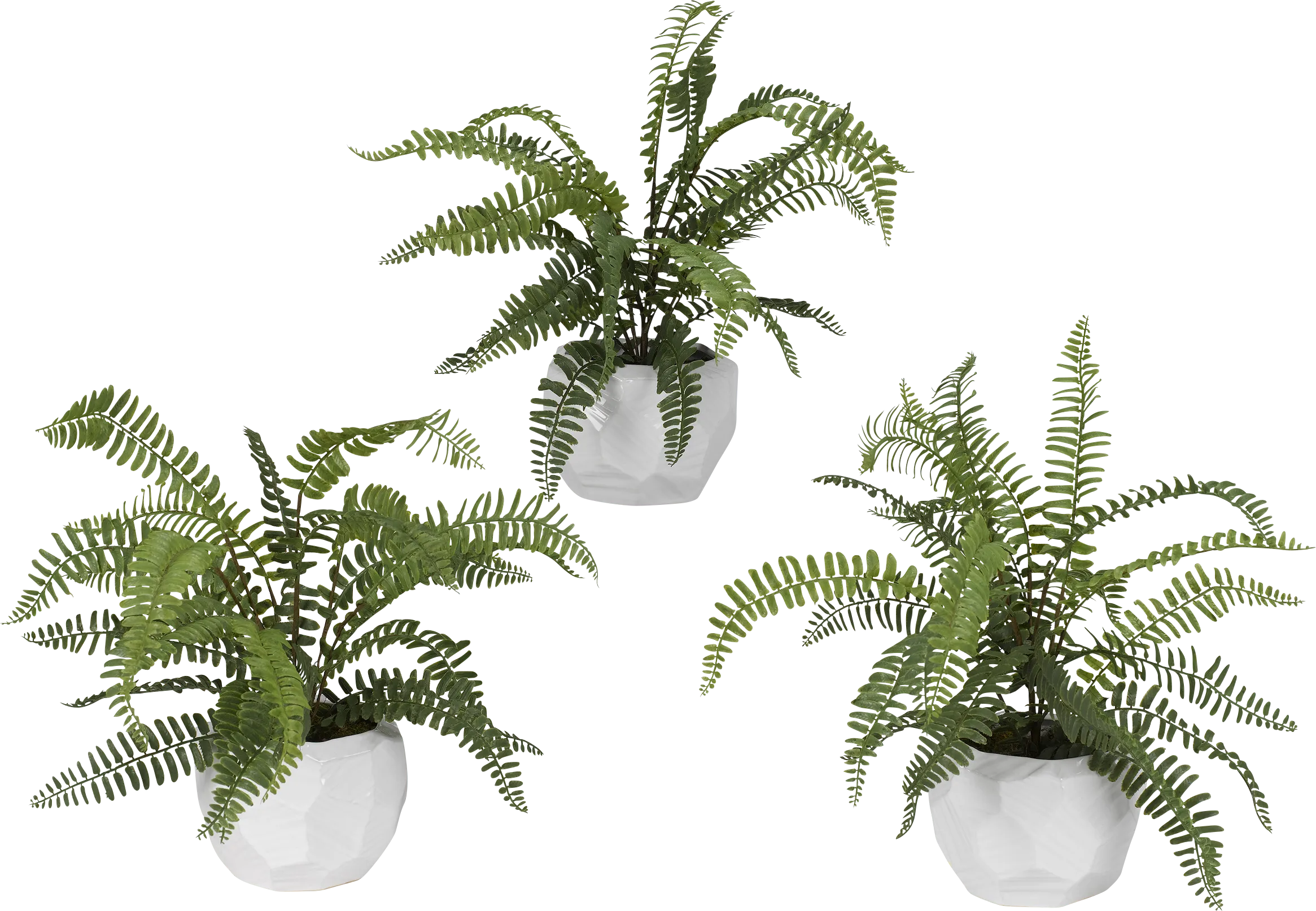 Haylee Green Silk Plant, Set of 3 - Thumbnail - Image 1