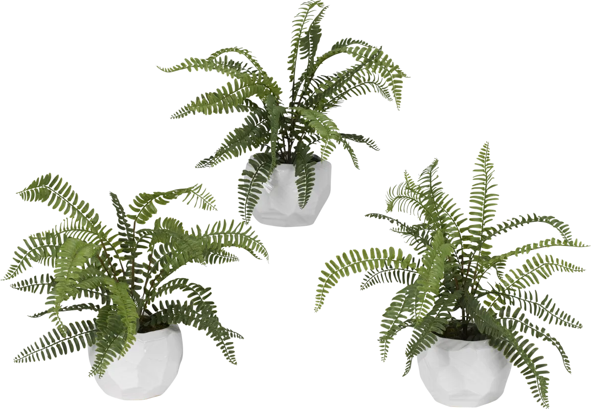 Haylee Green Silk Plant, Set of 3