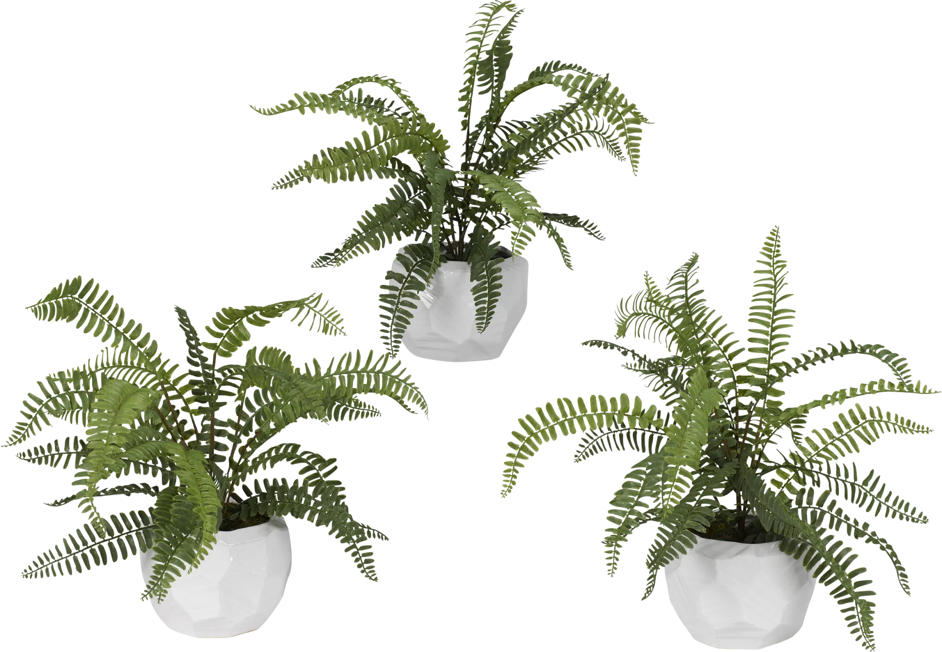 Haylee Green Silk Plant, Set of 3 - Image 1