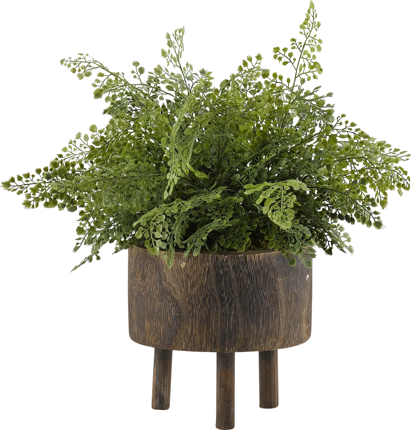 Kenzie Green Fern Silk Plant - Image 1