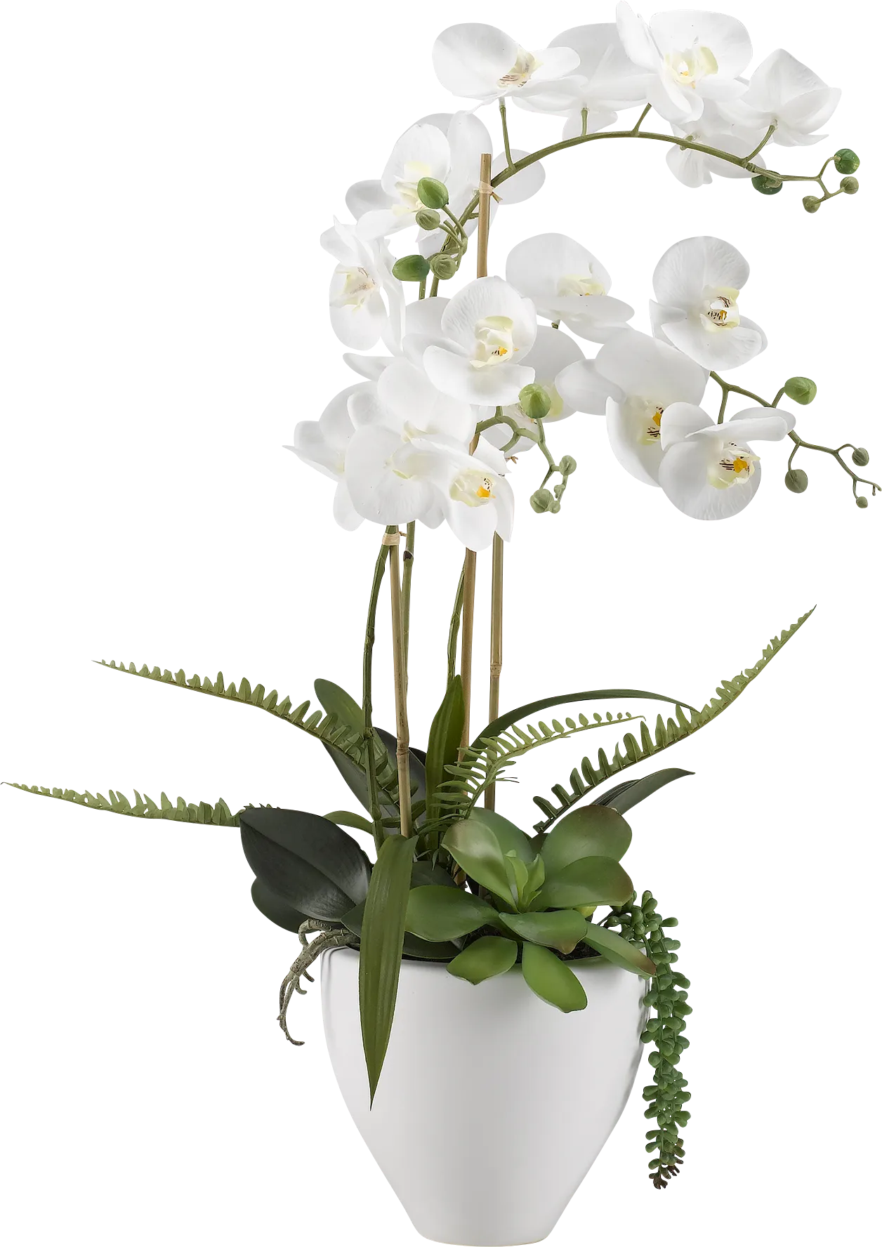 Elmir White Orchid Flower Arrangement - Thumbnail - Image 1