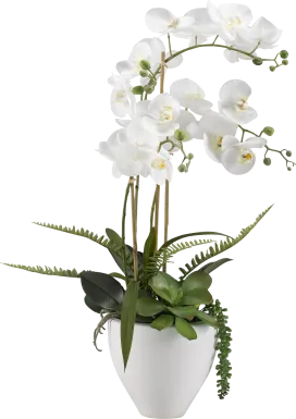 Elmir White Orchid Flower Arrangement