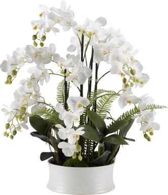 Armelia White Orchid Silk Flower Arrangement
