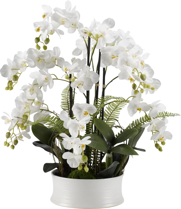 Armelia White Orchid Silk Flower Arrangement