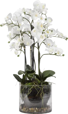 Evonna White Orchid Silk Flower Arrangement