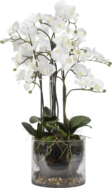 Evonna White Orchid Silk Flower Arrangement