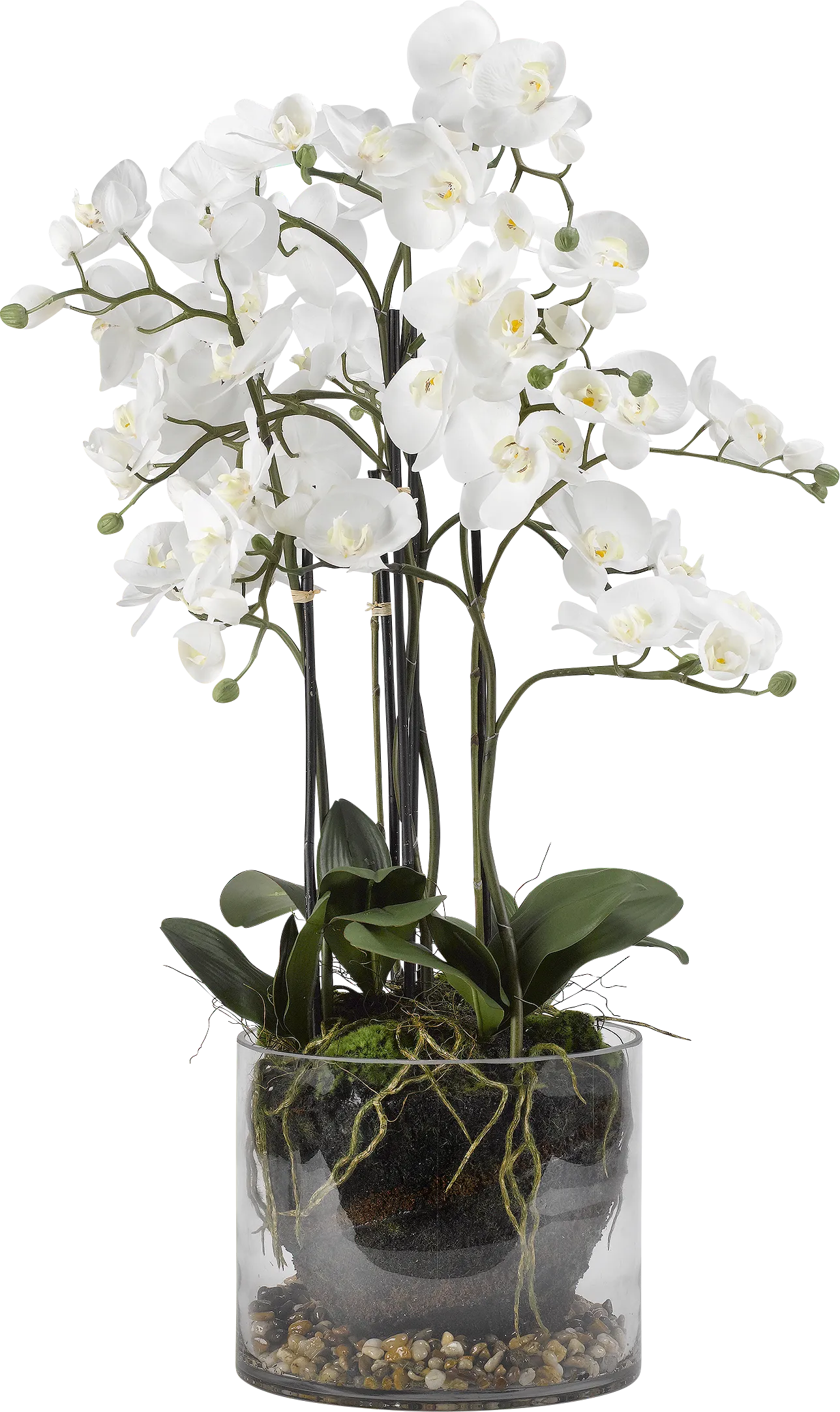 Evonna White Orchid Silk Flower Arrangement - Image 1