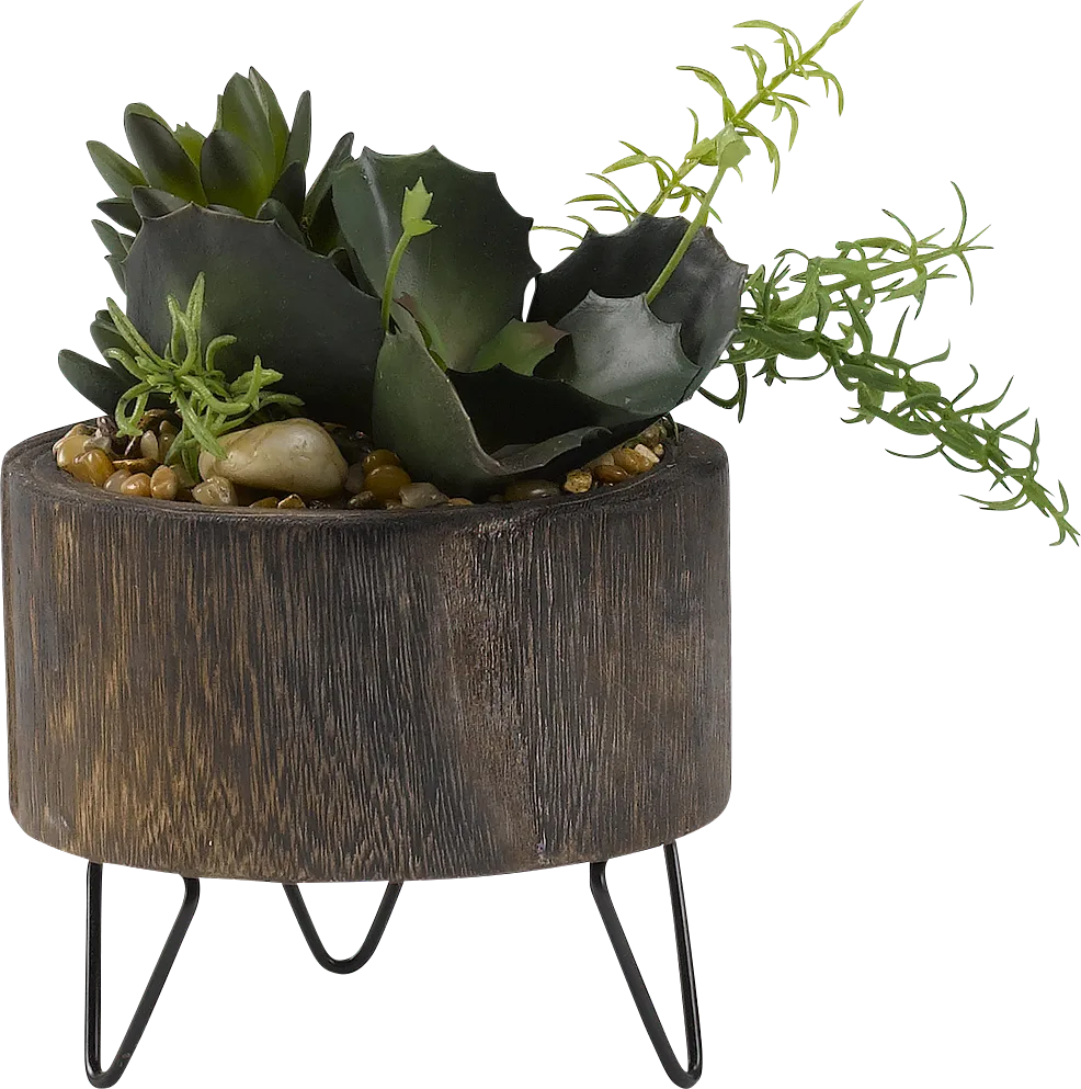 Sylena Green Succulent Silk Plant - Image 1