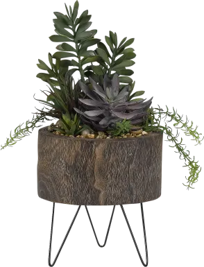Zaiden Green Succulent Silk Plant