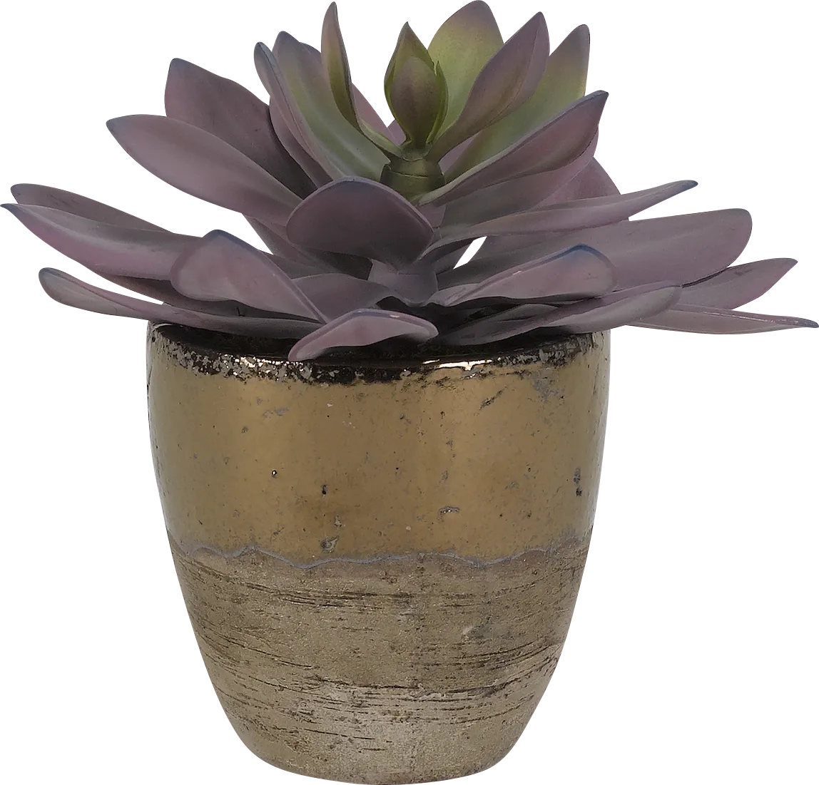 Larone Pink Echeveria Silk Plant - Image 1