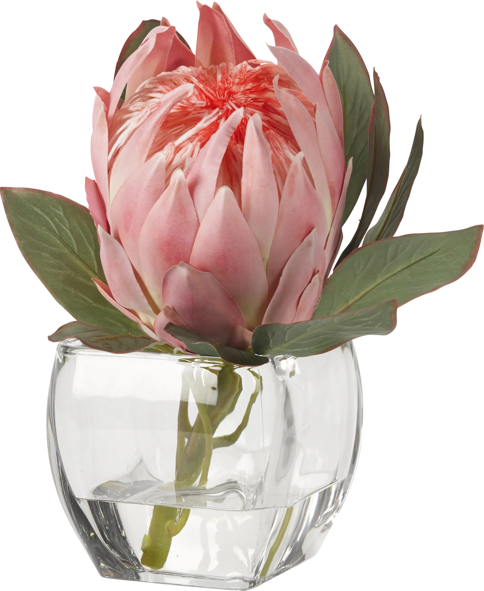 Brysan Pink Queen Protea Silk Plant - Image 1