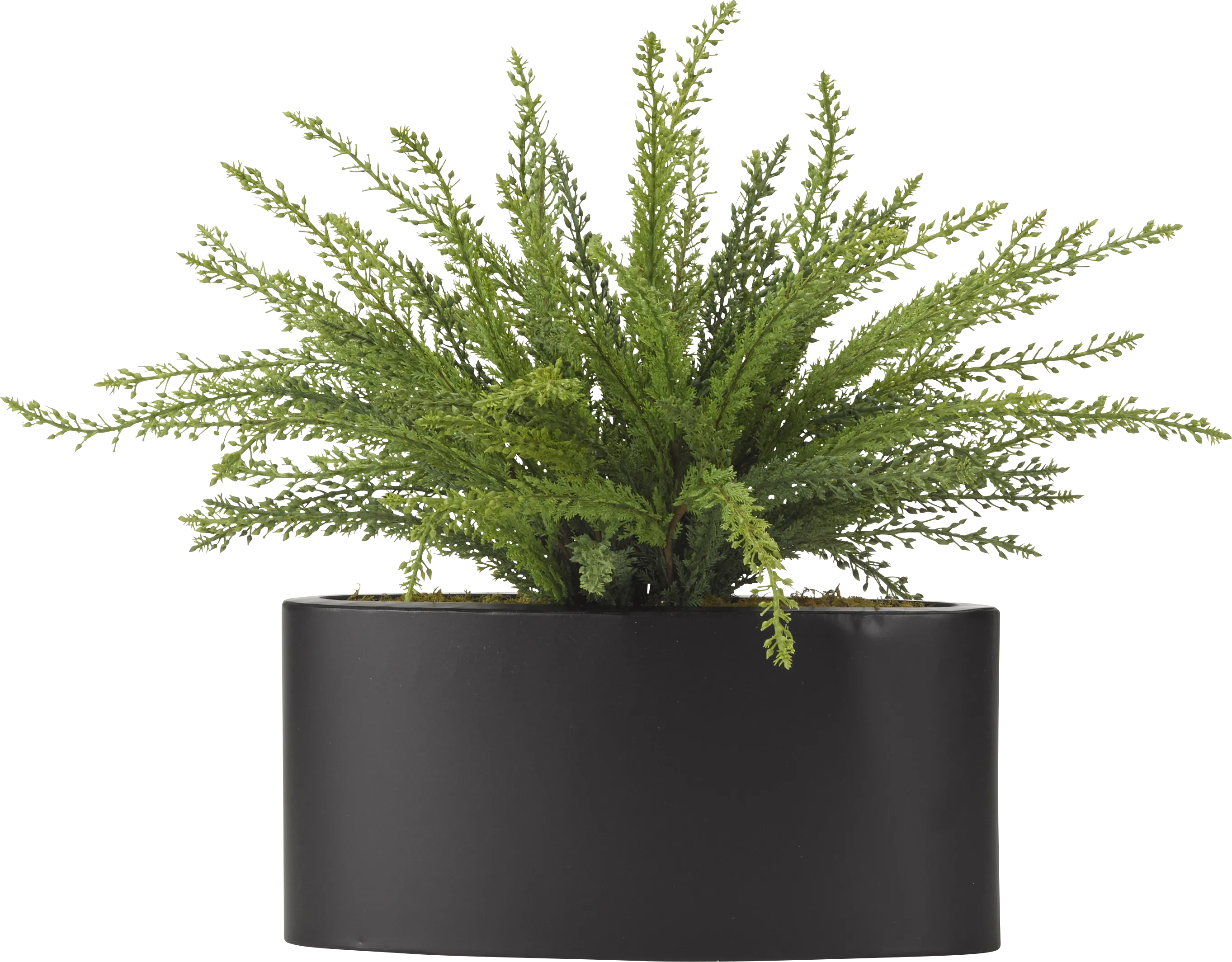 Kalise Green Fern Silk Plant