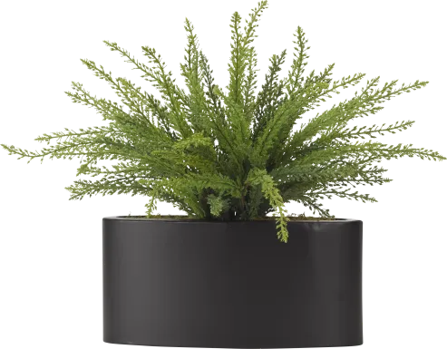 Kalise Green Fern Silk Plant