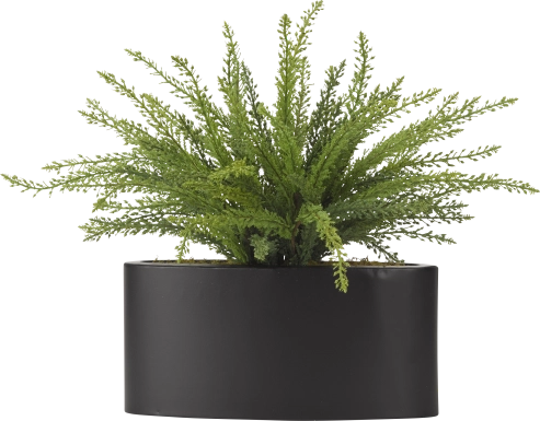 Kalise Green Fern Silk Plant