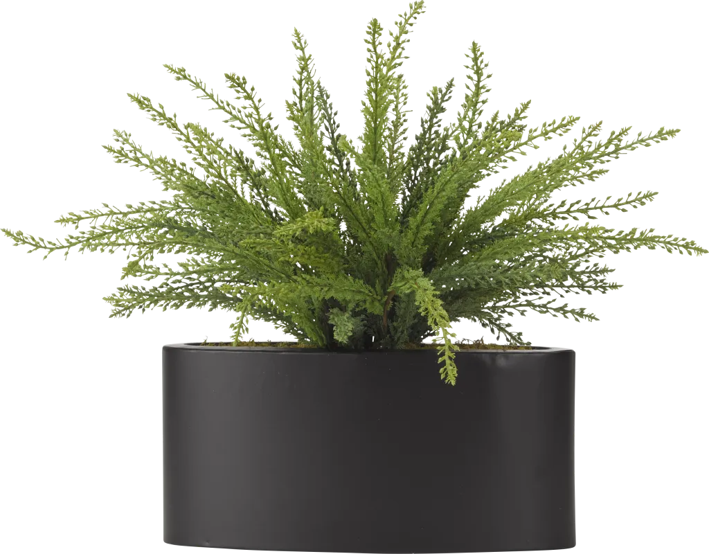 Kalise Green Fern Silk Plant