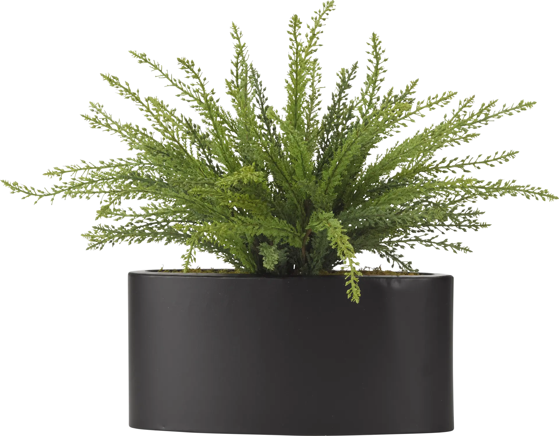 Kalise Green Fern Silk Plant