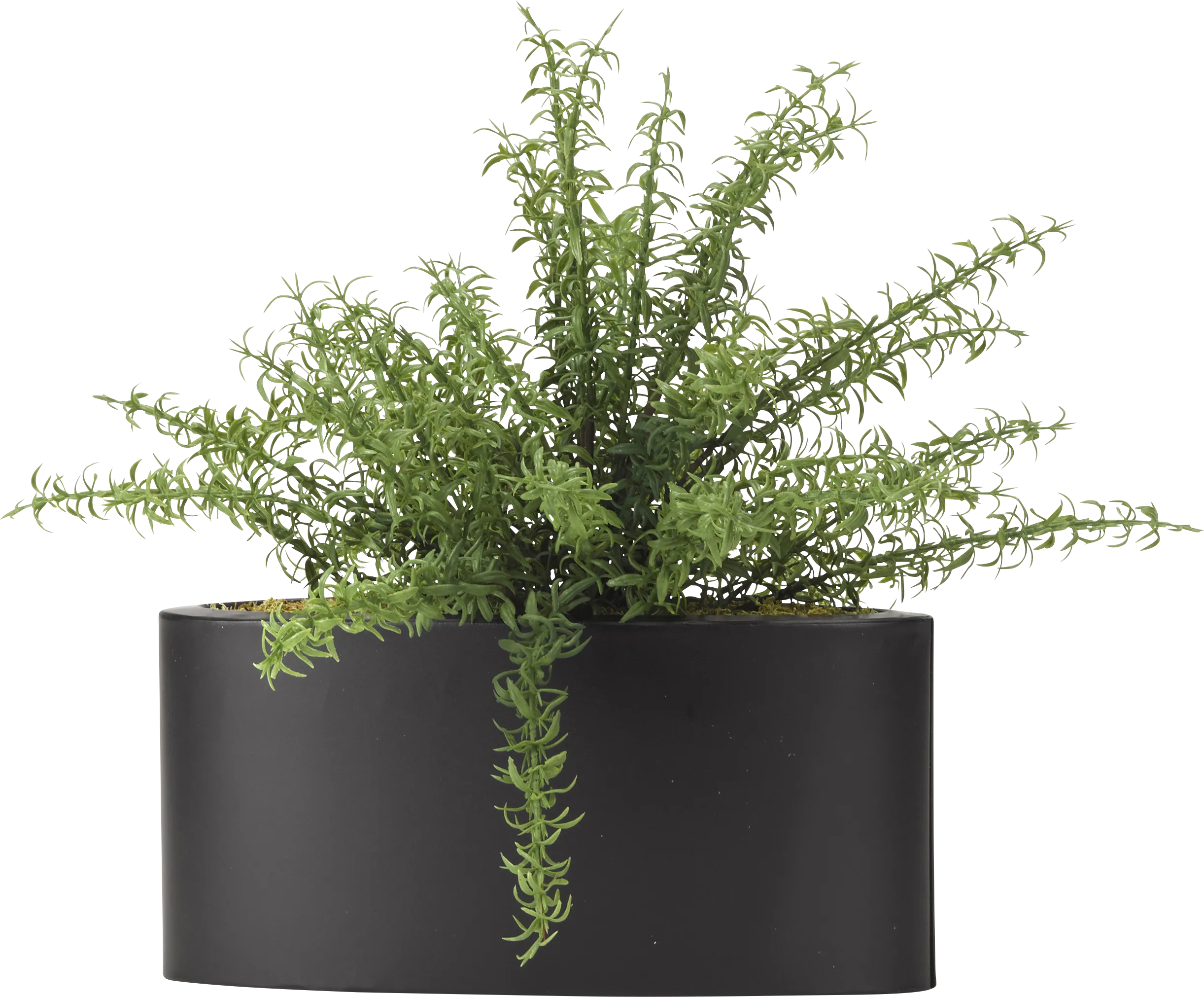 Azarie Green Rosemary Silk Plant - Thumbnail - Image 1
