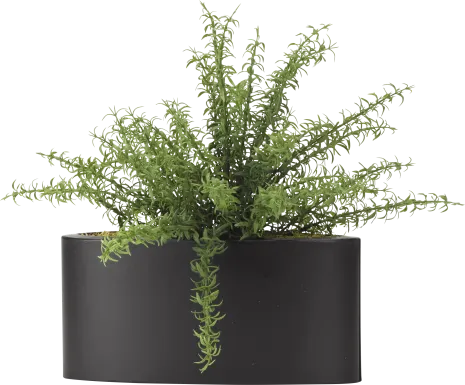 Azarie Green Rosemary Silk Plant