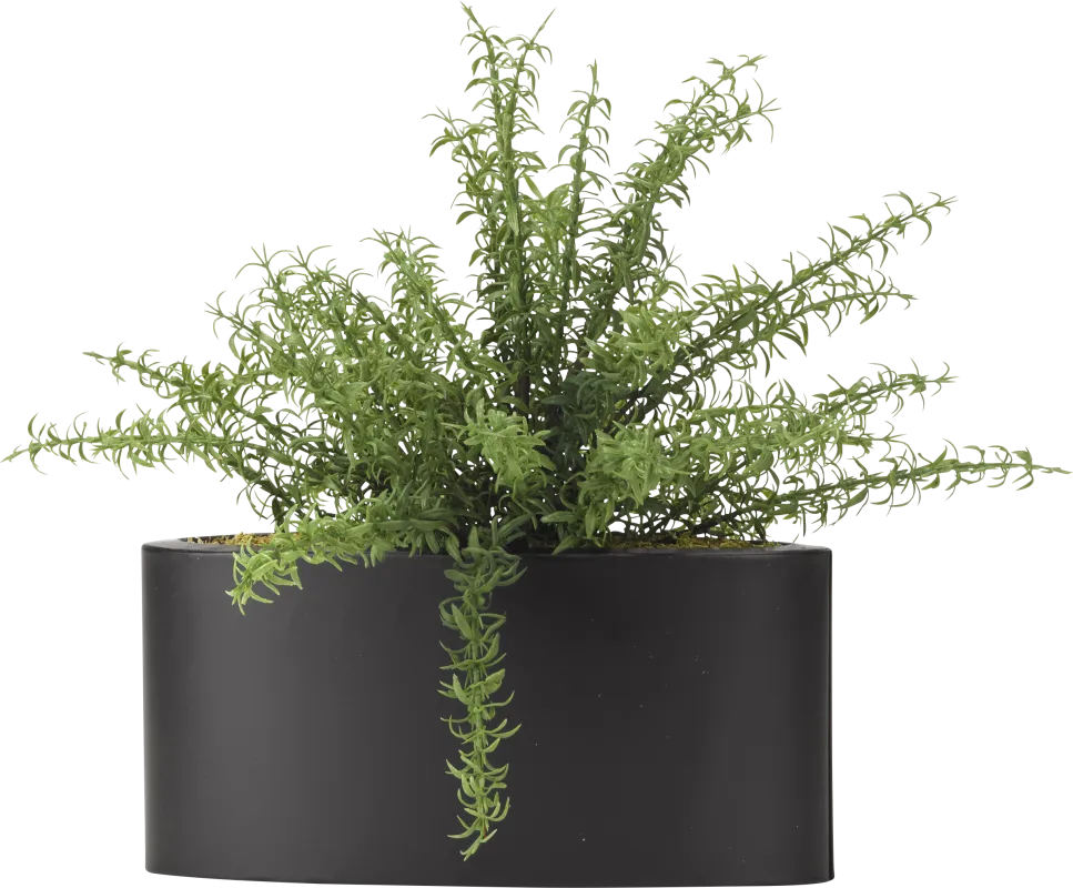 Azarie Green Rosemary Silk Plant