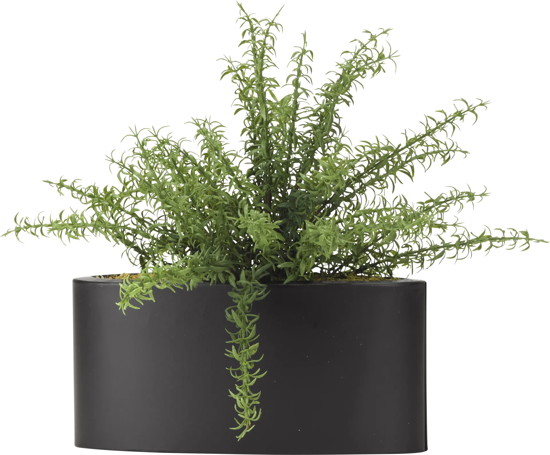 Azarie Green Rosemary Silk Plant - Image 1