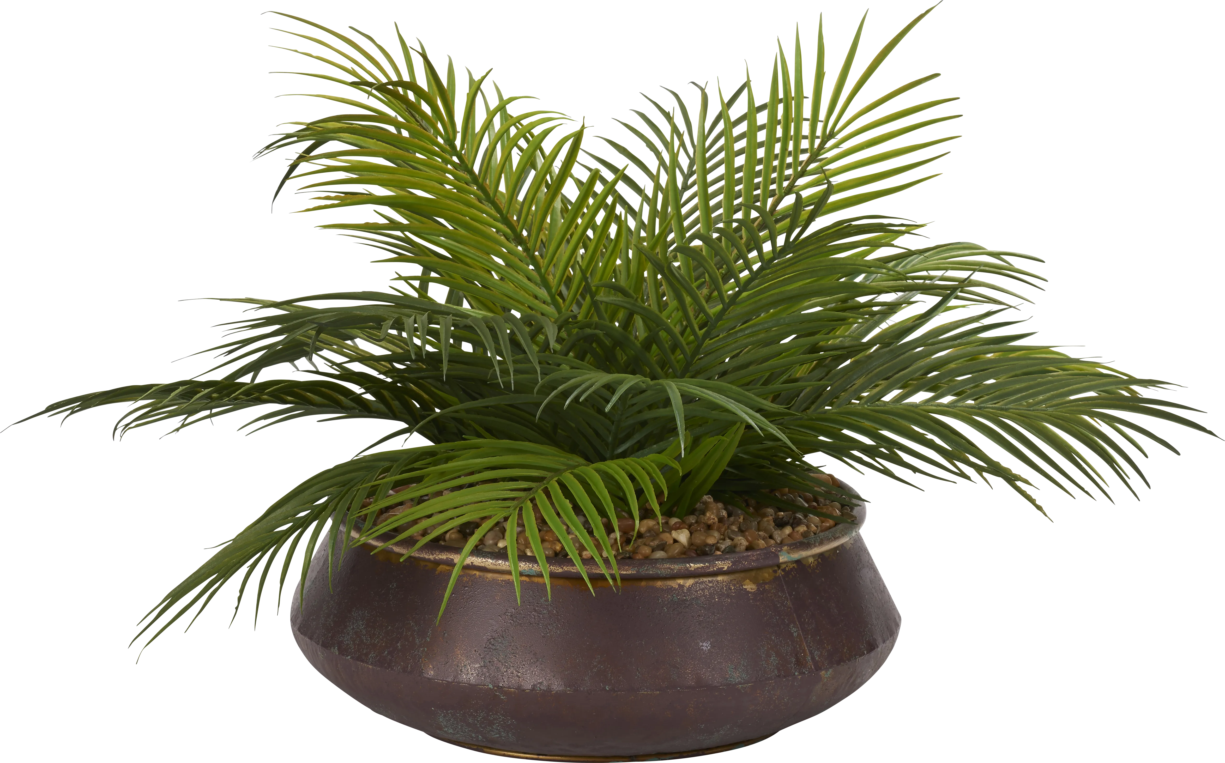 Athiran Green Palm Silk Plant