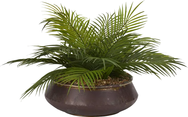 Athiran Green Palm Silk Plant