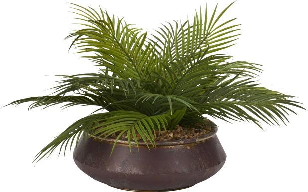 Athiran Green Palm Silk Plant