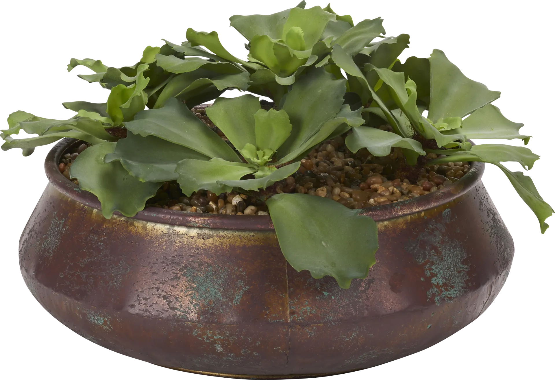 Avali Green Echeveria Silk Plant - Image 1