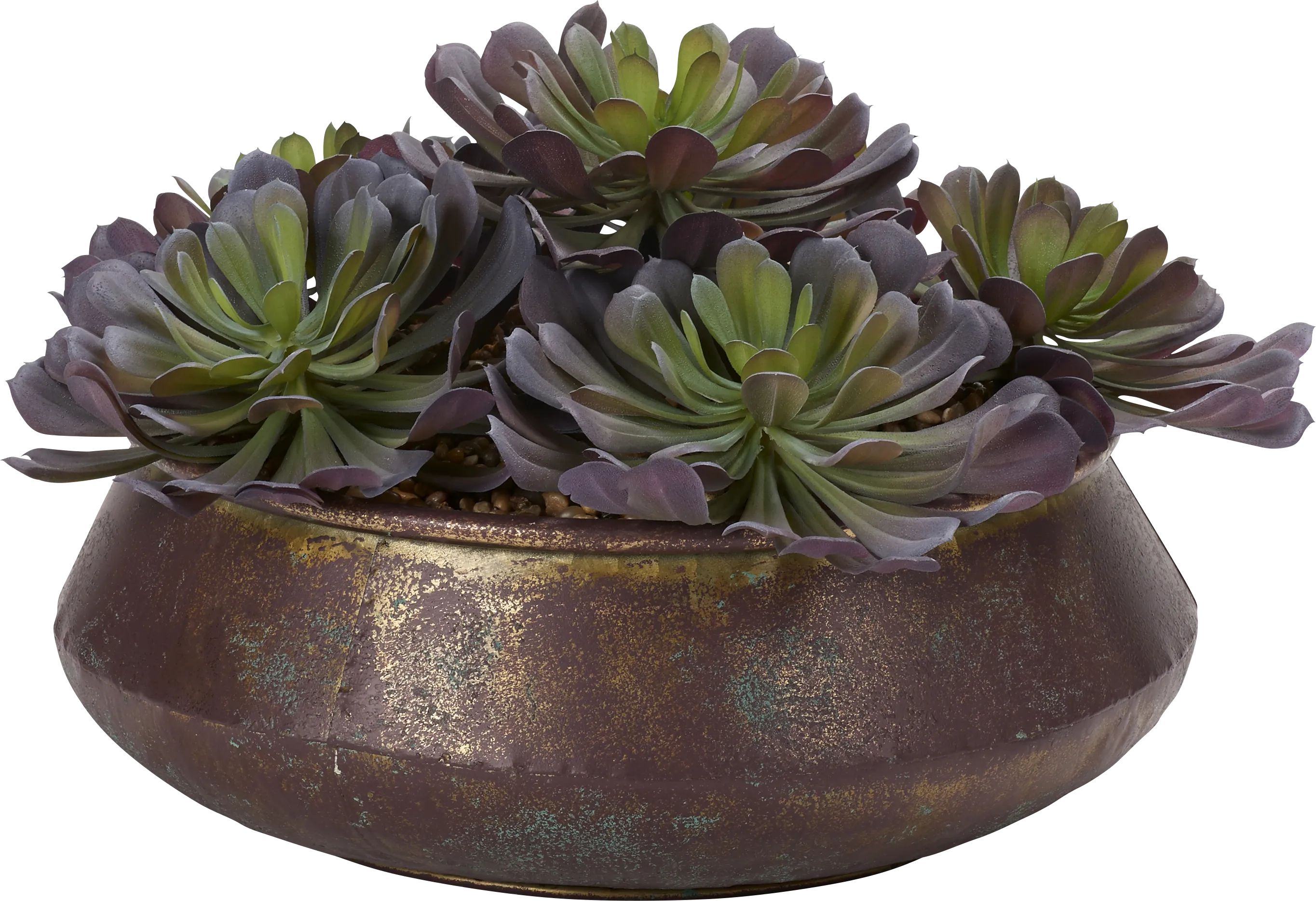 Malikia Green Echeveria Silk Plant