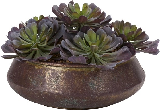 Malikia Green Echeveria Silk Plant