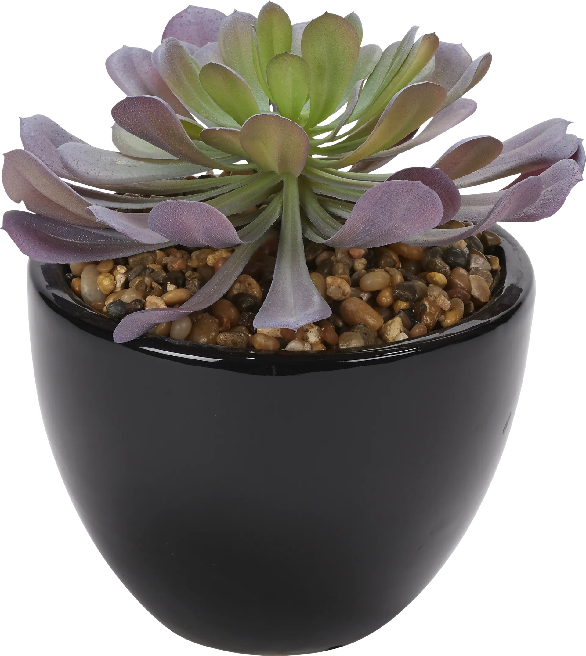 Jamal Green Echeveria Silk Plant - Image 1