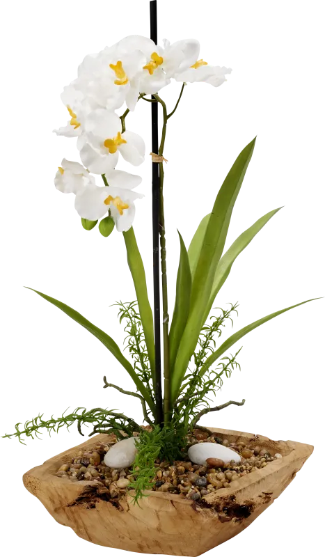 Tyrese White Orchid Silk Flower Arrangement