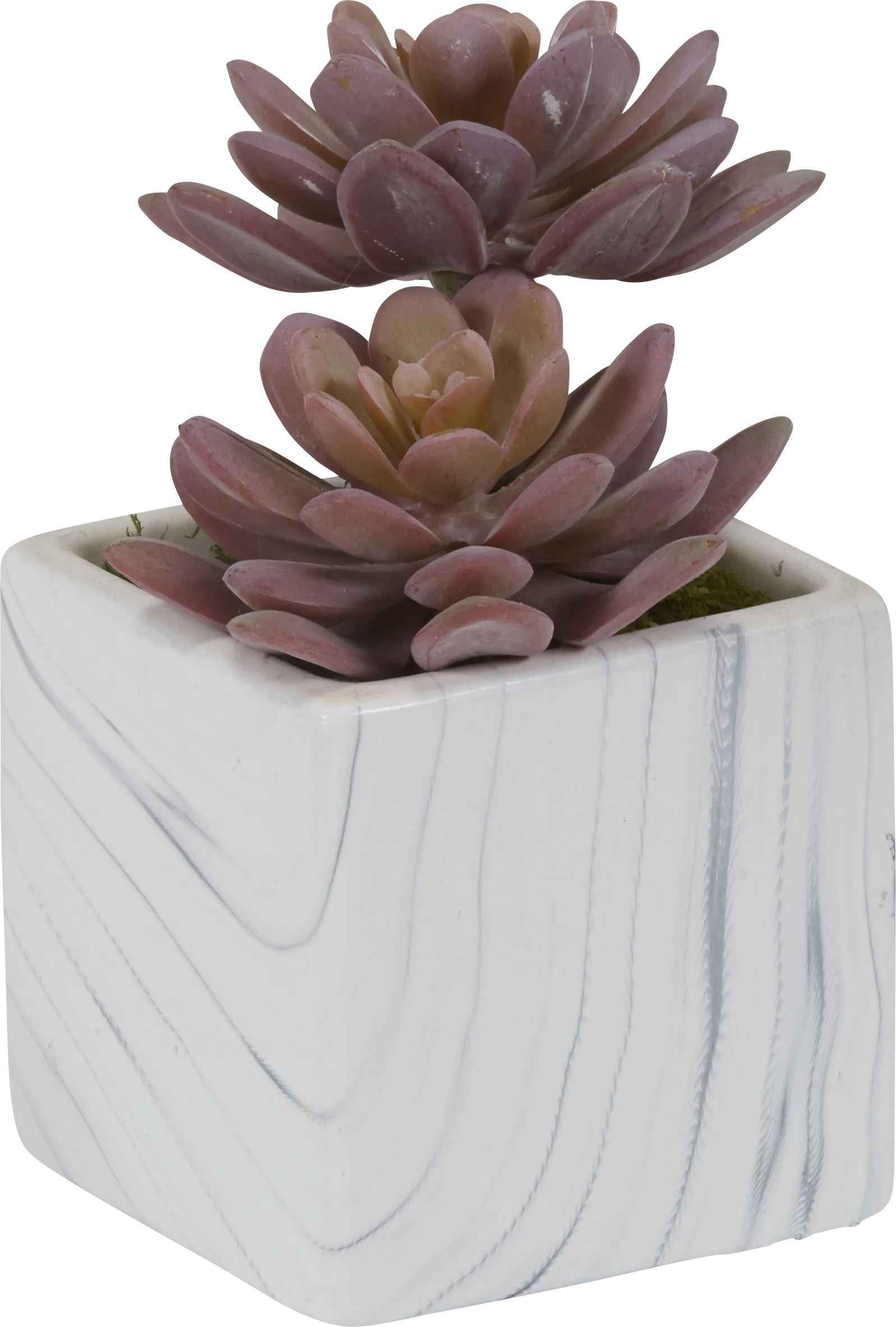 Teirrah Pink Echeveria Silk Plant - Thumbnail - Image 1