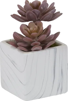 Teirrah Pink Echeveria Silk Plant