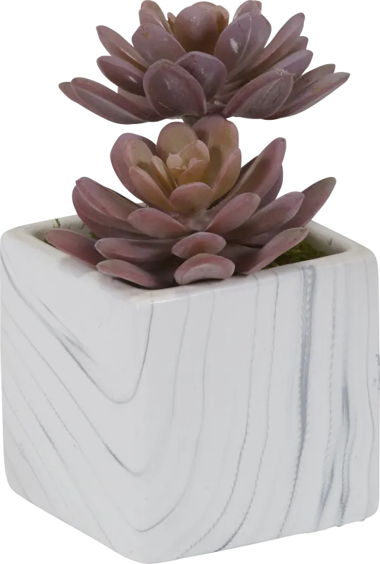 Teirrah Pink Echeveria Silk Plant