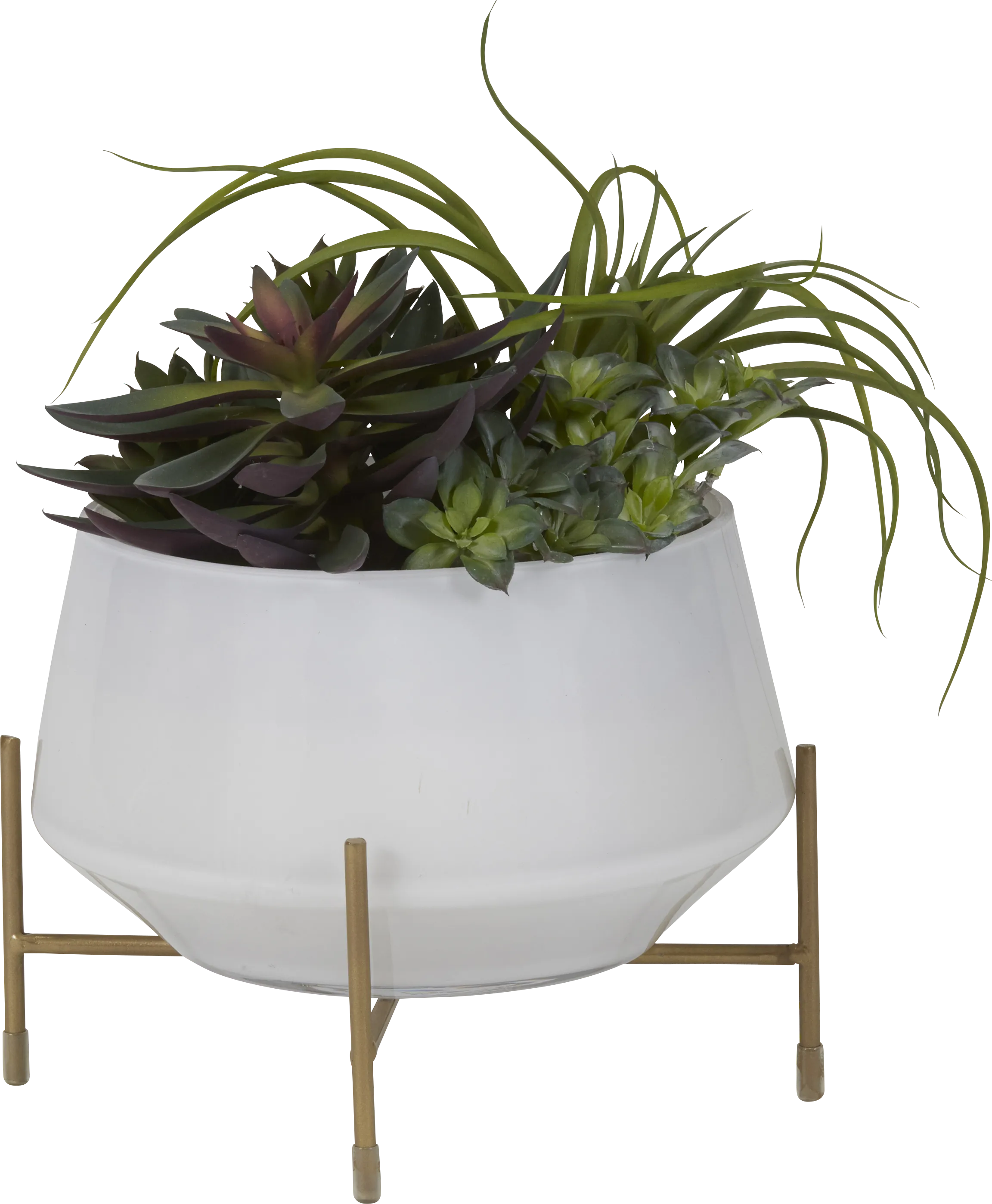 Nathyn Green Tillandsia Silk Plant