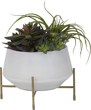 Nathyn Green Tillandsia Silk Plant