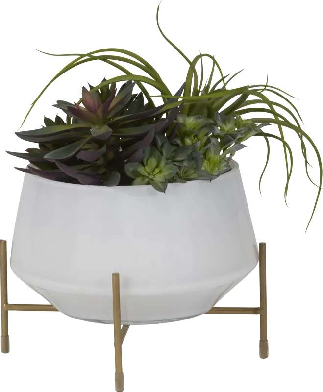 Nathyn Green Tillandsia Silk Plant