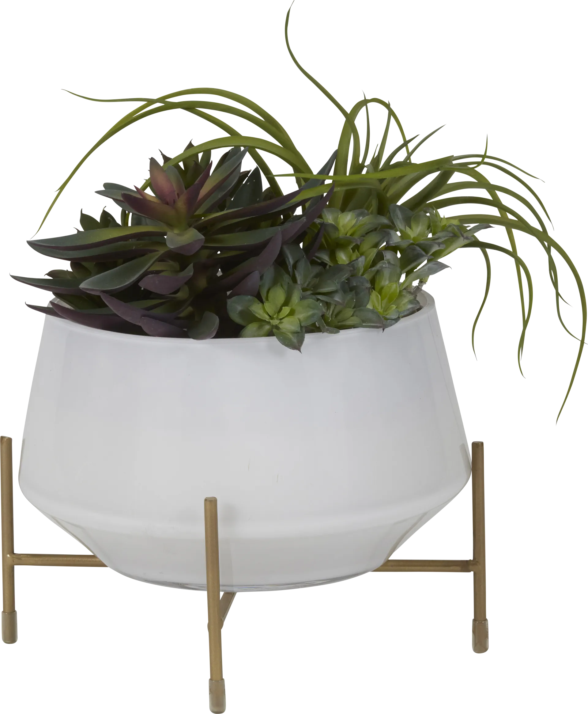 Nathyn Green Tillandsia Silk Plant - Image 1