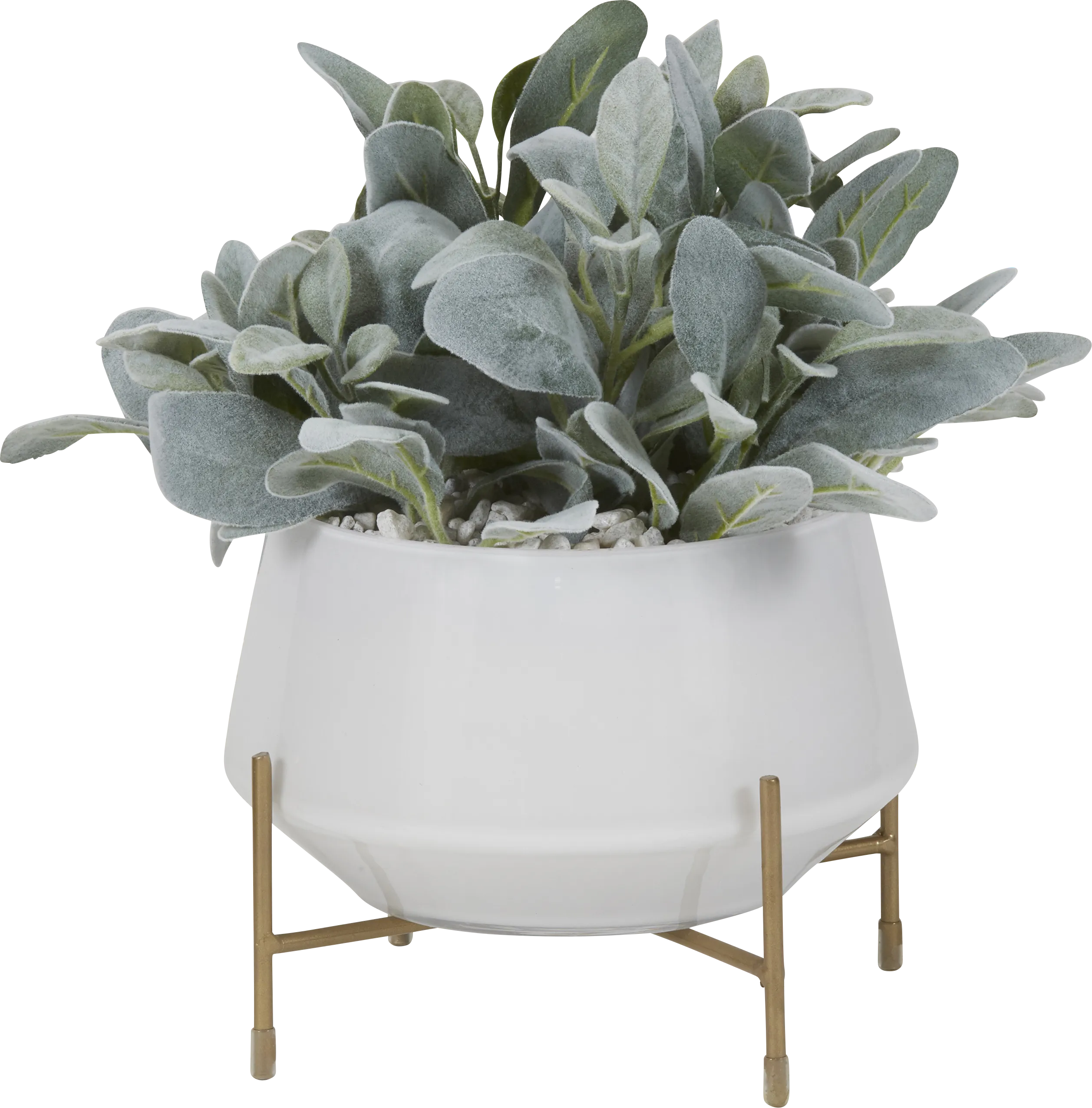 Sherrie Green Lamb's Ear Silk Plant - Thumbnail - Image 1