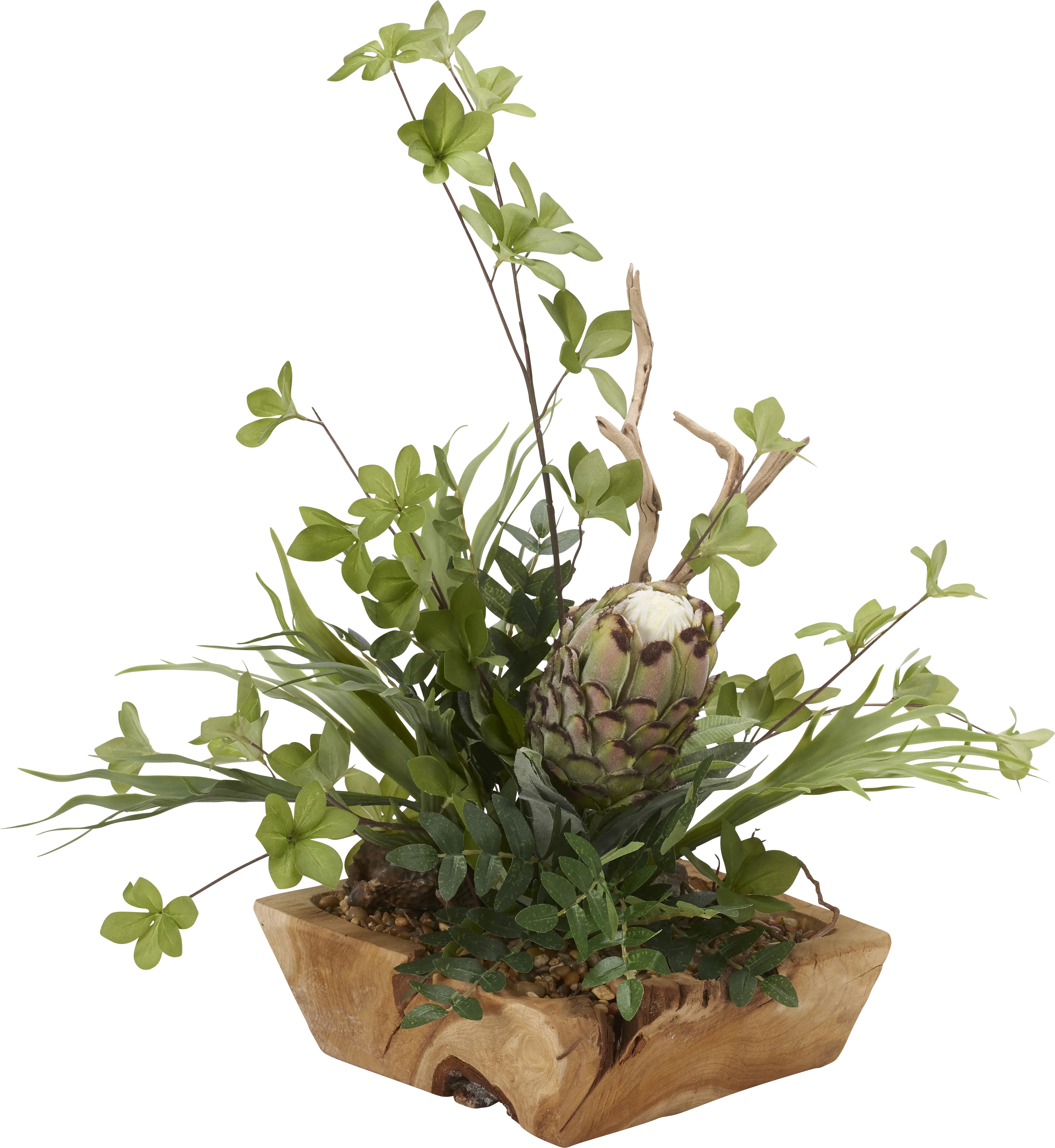 Robey Green Mink Protea Silk Plant - Thumbnail - Image 1