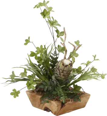 Robey Green Mink Protea Silk Plant