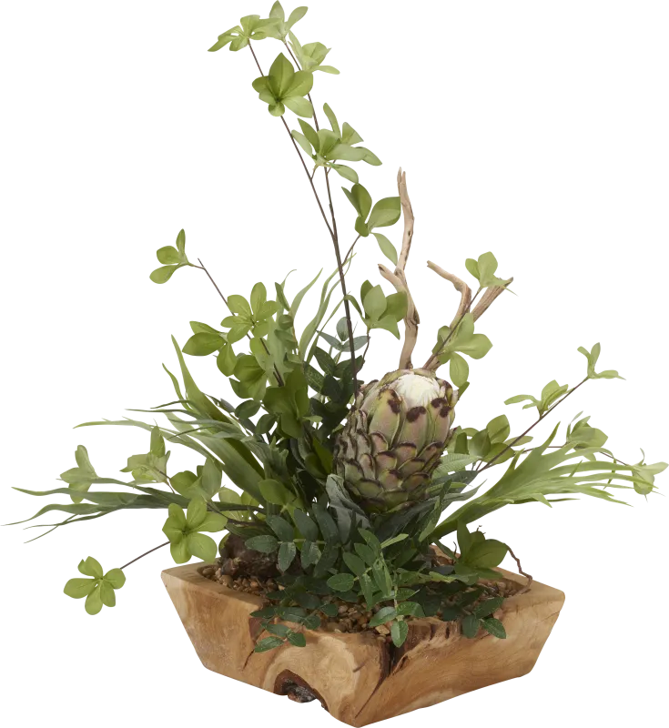 Robey Green Mink Protea Silk Plant