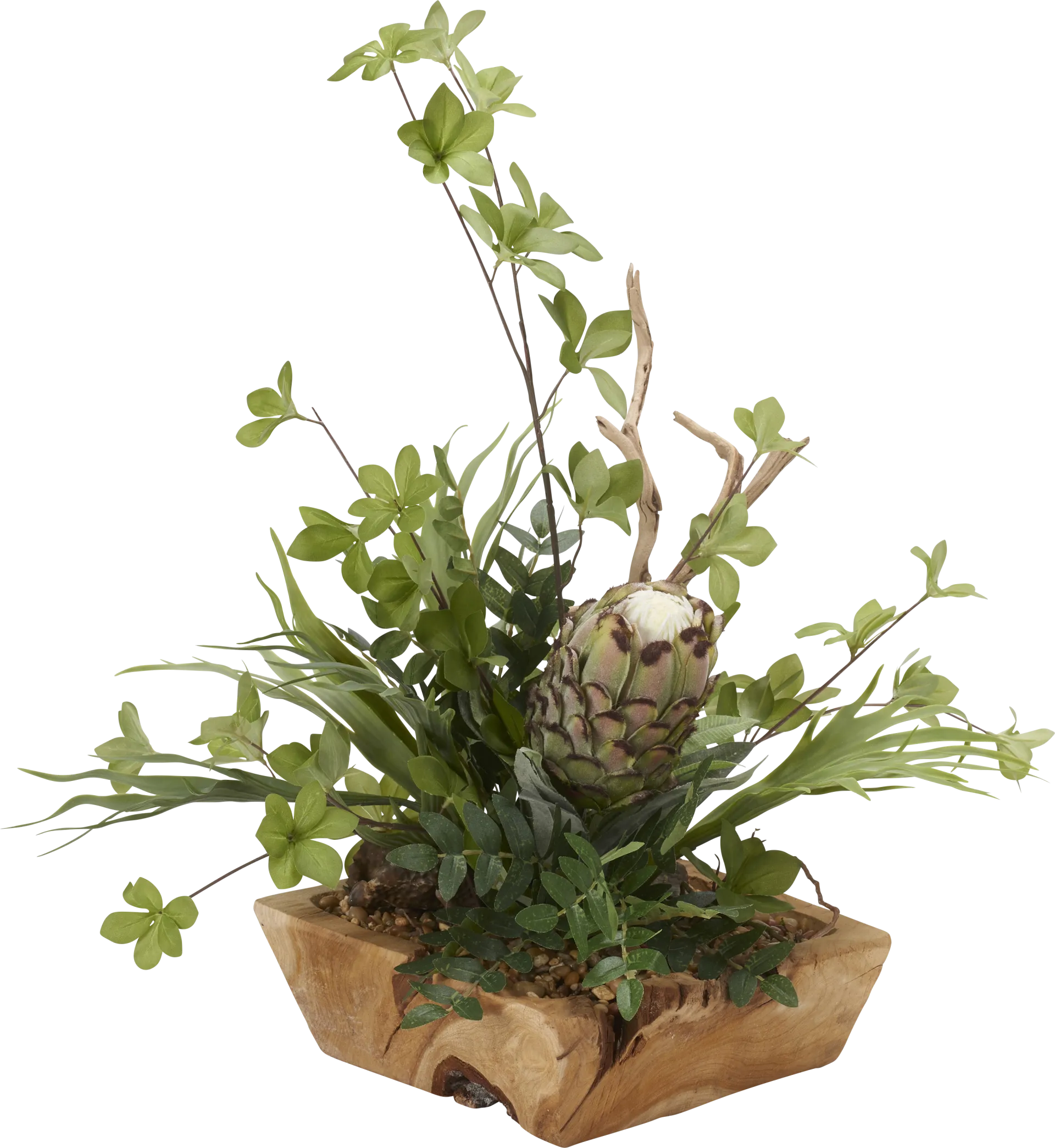 Robey Green Mink Protea Silk Plant - Image 1