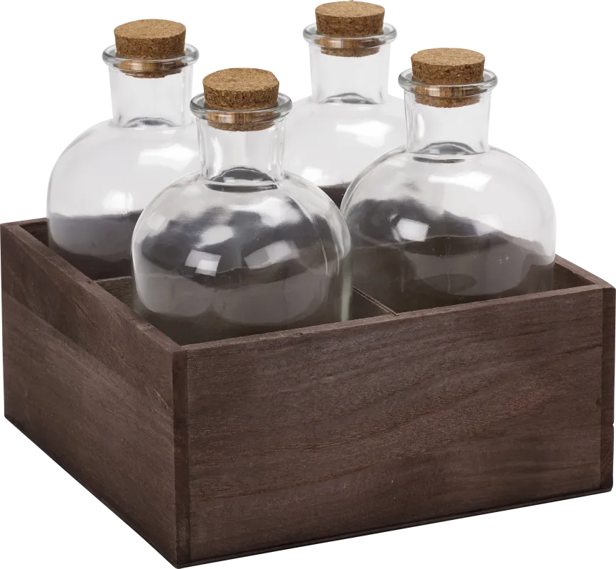 Raidy Brown Bottle, Set of 4