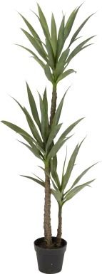 Raena Green Dracaena Silk Tree