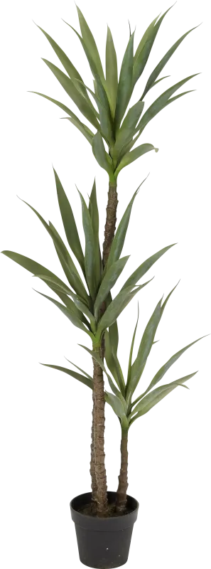 Raena Green Dracaena Silk Tree